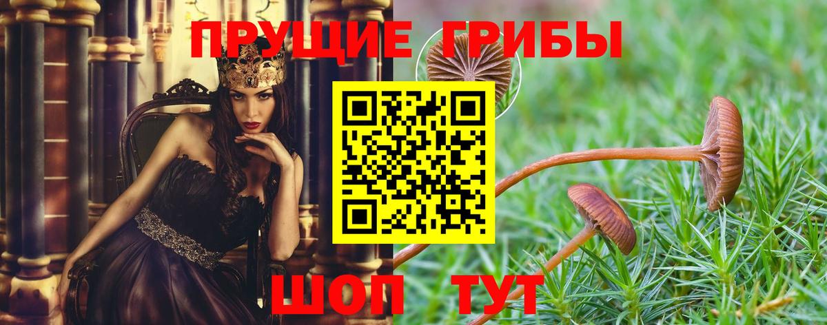 Галлюциногенные грибы мухоморы Вязники