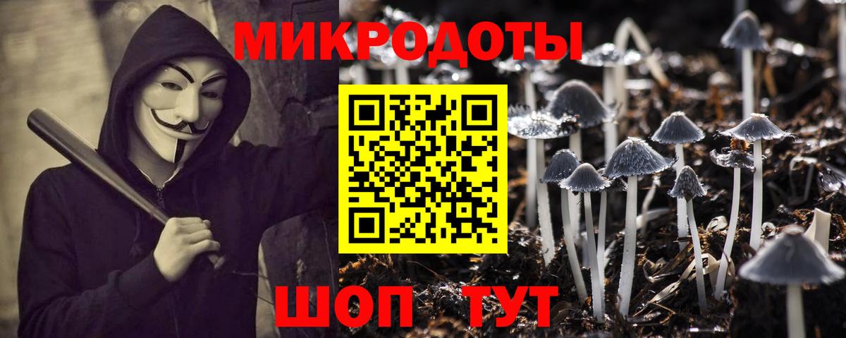 Вязники  Галлюциногенные грибы Psilocybine cubensis  Вход с VPN 